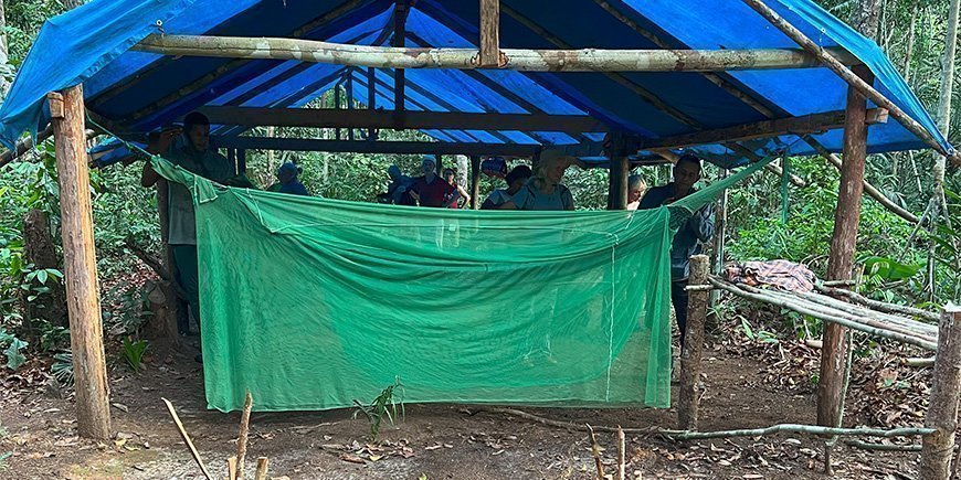 Her skal hengekøyene henge