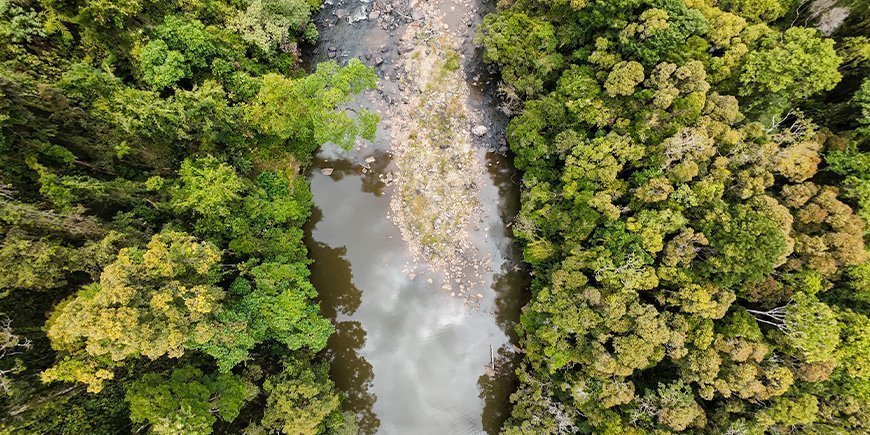 Ranomafana-landskapet sett ovenfra