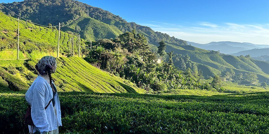 Ung kvinne på spasertur i Sungai Palas-plantasjen i Cameron Highlands, Malaysia