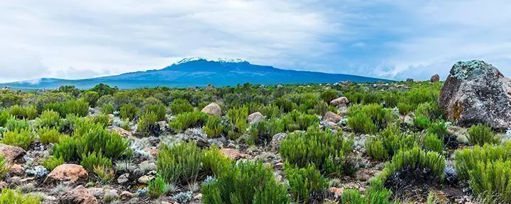 Utsikt fra Lemosho-ruten til Kilimanjaro