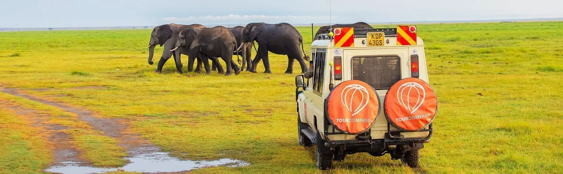 Safaribil og elefanter i Amboseli nasjonalpark, Kenya