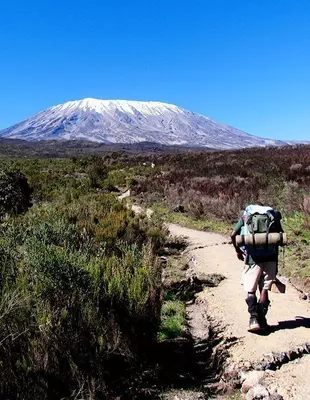 En vandrer går gjennom heilandskap på vei mot Kilimanjaro