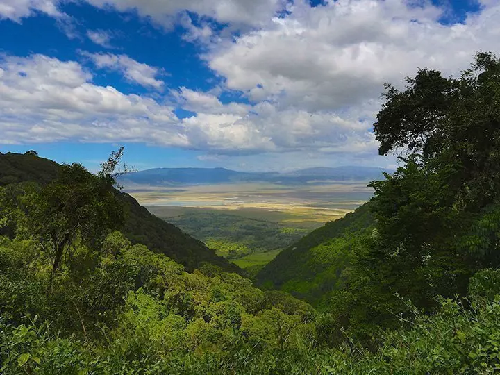 Oversiktsbilde fra Ngorongoro i Tanzania